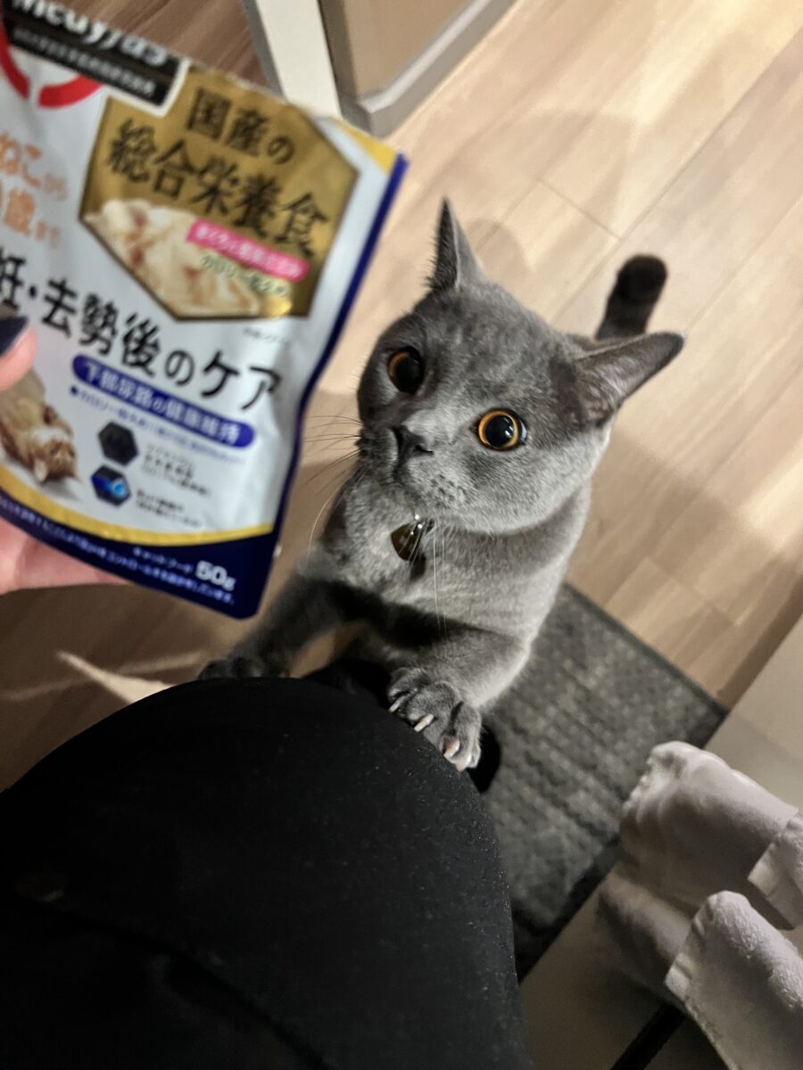メディファス ウェットフード 避妊・去勢用